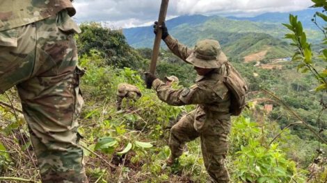Erradicación de coca en el trópico de Cochabamba