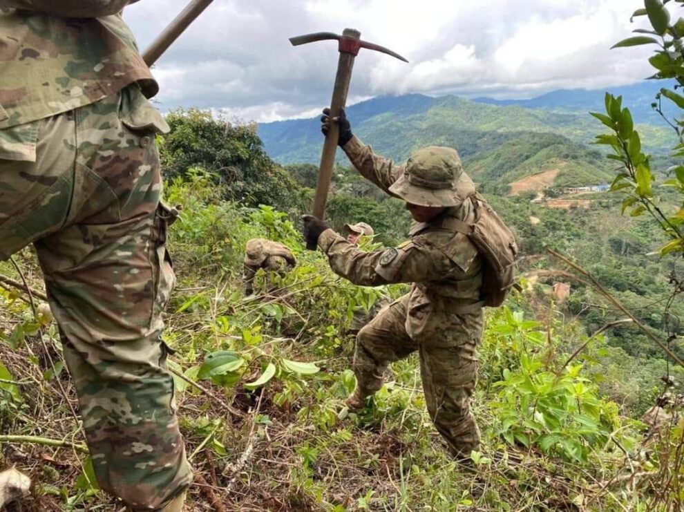 Erradicación de coca en el trópico de Cochabamba