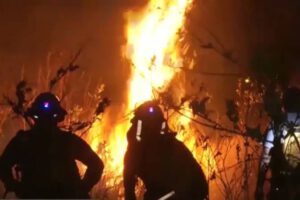 Incendios forestales en Santa Cruz