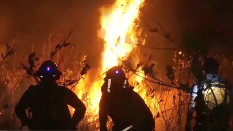 Incendios forestales en Santa Cruz