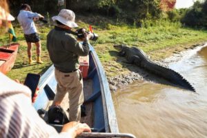 Caimán negro Jesús en Santa Ana de Yacuma