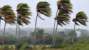 Alerta meteorológica por vientos fuertes