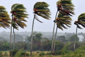 Alerta meteorológica por vientos fuertes