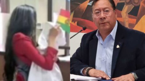 Demanda de asistencia familiar presentada por Brenda Lafuente contra Luis Arce