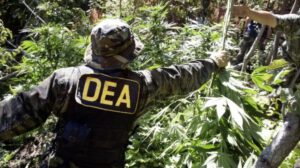 Cooperación DEA en Bolivia