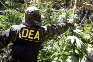 Cooperación DEA en Bolivia