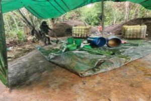 Laboratorio de cristalización de cocaína desmantelado en el Chapare