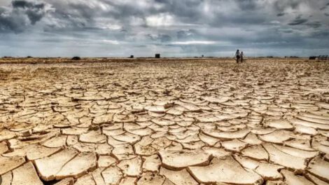 Cambio climático y financiamiento en tiempos de negacionismo