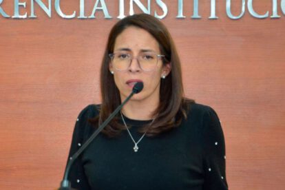 Investigación caso Marcelo Arce por violencia doméstica