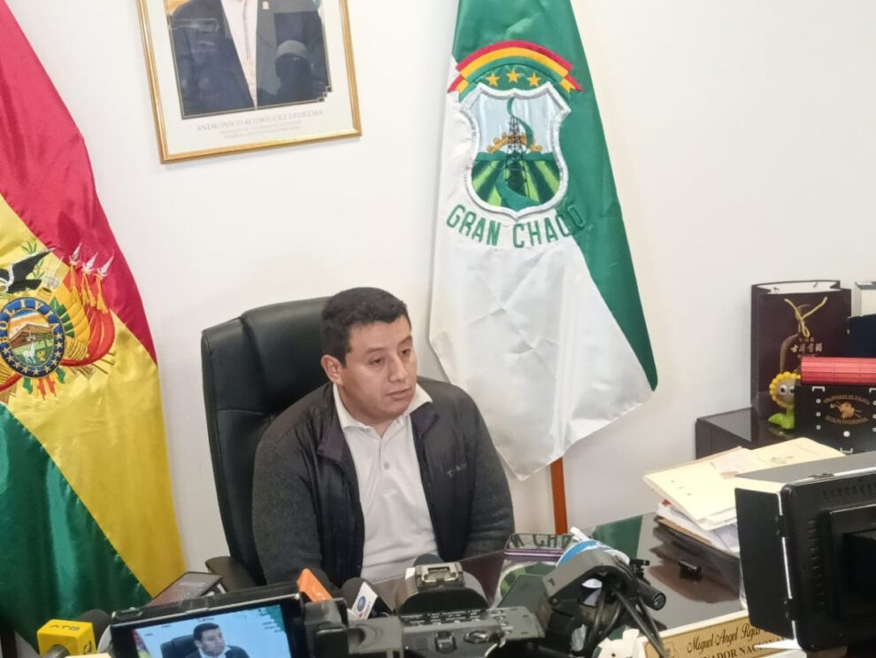 suspensión de vocales del TSE