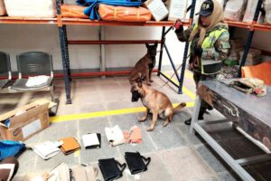 Cocaína oculta en carteras detectada por el can antidrogas Venon