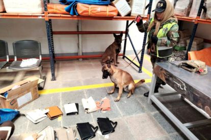 Cocaína oculta en carteras detectada por el can antidrogas Venon