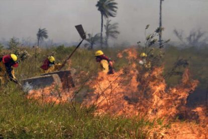 Incendios en Santa Cruz