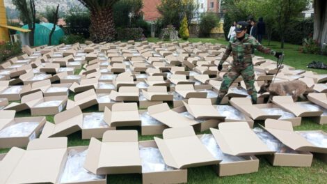 Maletas electorales en el exterior para el balotaje