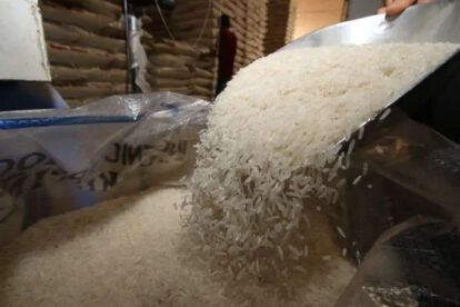 auditoría por compra de arroz