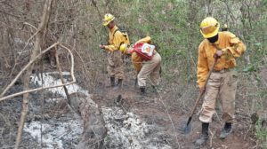 Incendios forestales en Bolivia