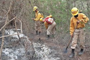 Incendios forestales en Bolivia