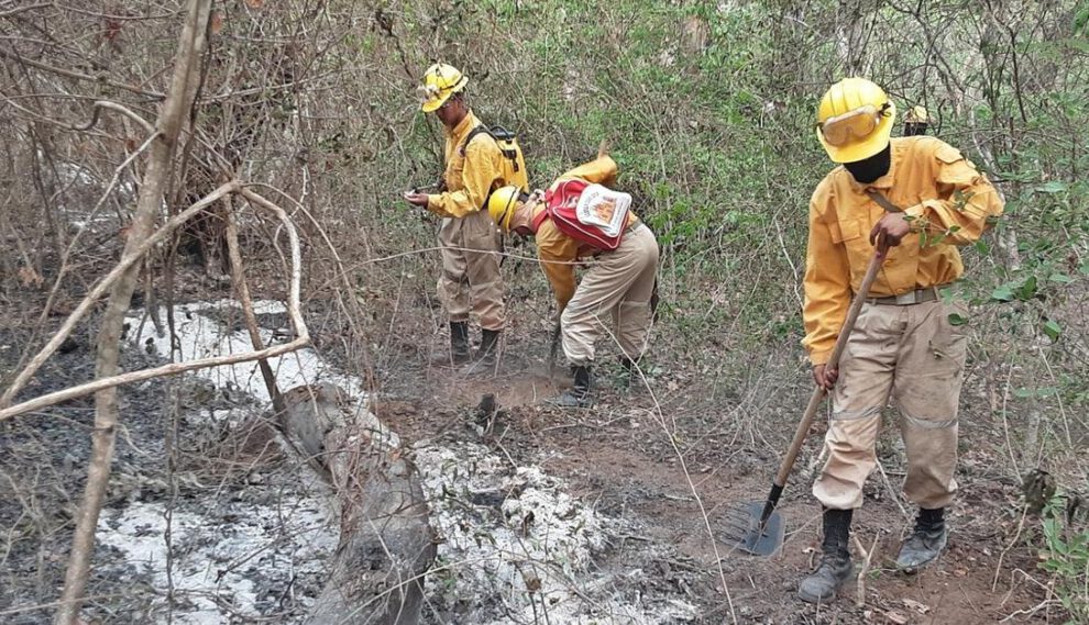 Incendios forestales en Bolivia