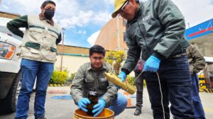 calidad de la gasolina en Bolivia