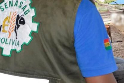 Destitución de funcionario del Senasag por fraguar certificados de exportación de carne