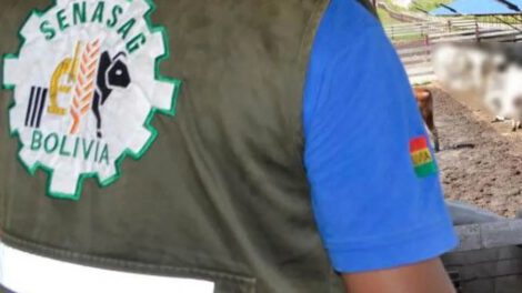 Destitución de funcionario del Senasag por fraguar certificados de exportación de carne