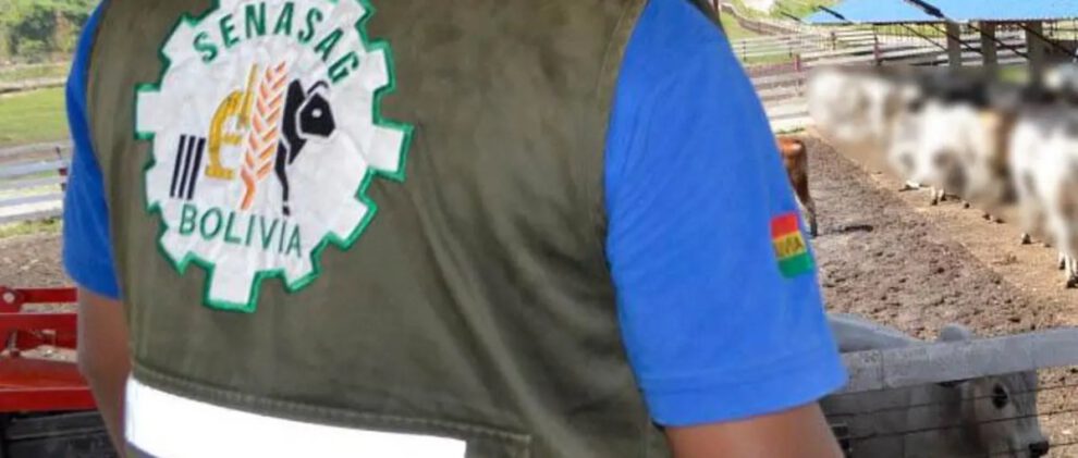 Destitución de funcionario del Senasag por fraguar certificados de exportación de carne