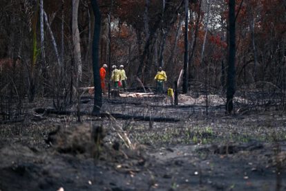 Incendios en Brasil y la lucha de brigadistas indígenas del Xingu