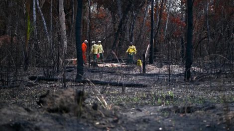 Incendios en Brasil y la lucha de brigadistas indígenas del Xingu