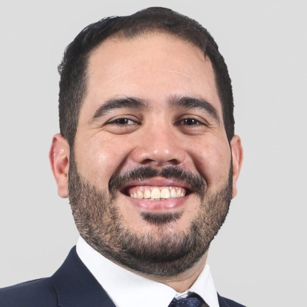 Política y justicia en América Latina