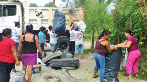 Prevención del dengue en Cobija