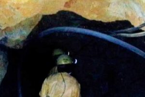 Mueren tres trabajadores en Potosí