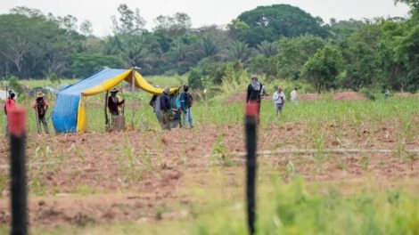 Avasallamientos en Bolivia
