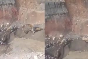 Tragedia minera en Tipuani: tres barranquilleros fallecen