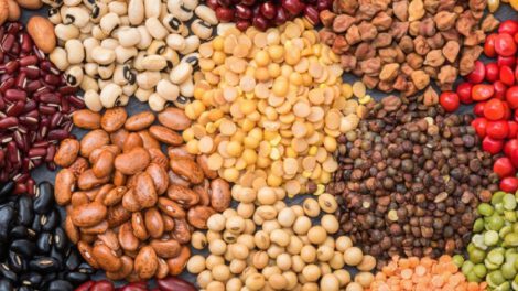 Aumento de precio de semillas por crisis de diésel y escasez de dólares