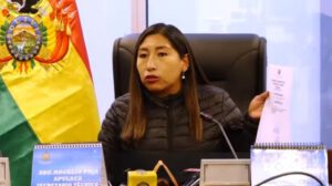 Ley de elecciones judiciales propuesta por la diputada Olivia Guachalla