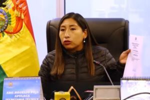 Ley de elecciones judiciales propuesta por la diputada Olivia Guachalla
