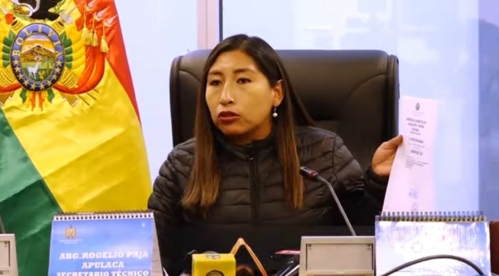 Ley de elecciones judiciales propuesta por la diputada Olivia Guachalla