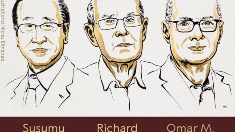 Premio Nobel de Química 2025 y sus innovaciones en arquitectura molecular