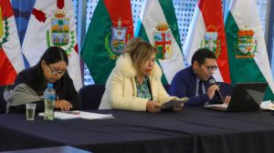 comisión investigadora fraude electoral