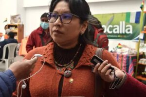 La diputada Gladys Quispe denuncia autogolpe de Luis Arce