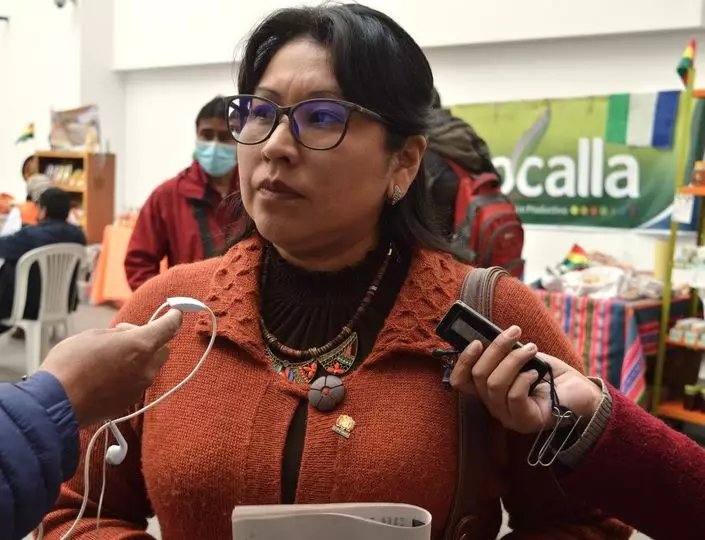 La diputada Gladys Quispe denuncia autogolpe de Luis Arce