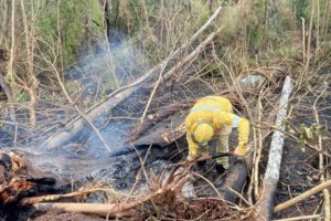 Incendio en el Parque Noel Kempff
