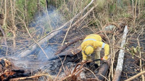 Incendio en el Parque Noel Kempff