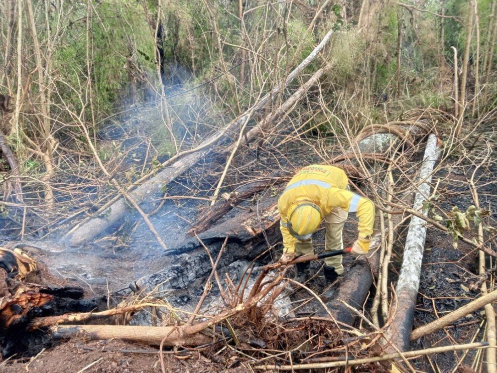 Incendio en el Parque Noel Kempff