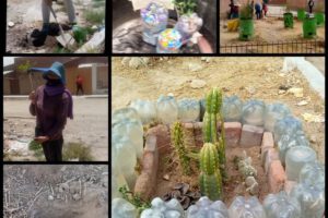 Día Mundial del Árbol y su importancia para el medio ambiente