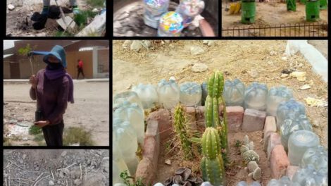 Día Mundial del Árbol y su importancia para el medio ambiente