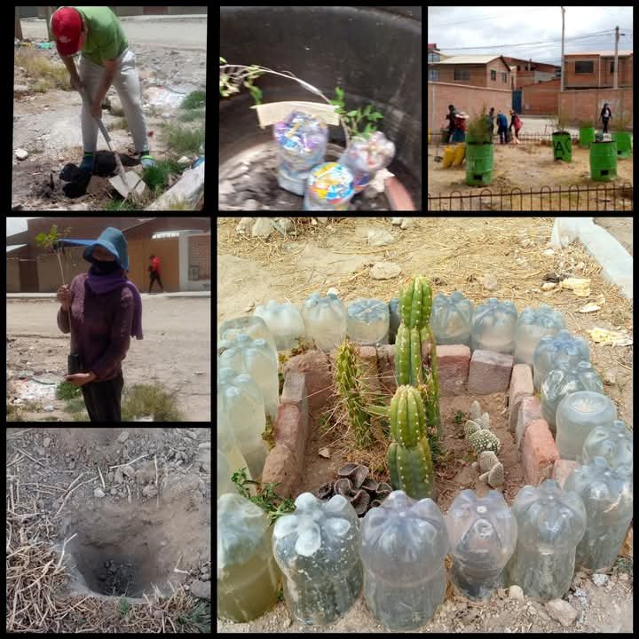 Día Mundial del Árbol y su importancia para el medio ambiente