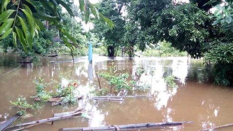 Alerta Naranja del Senamhi por riesgo de desborde de ríos en La Paz y Potosí