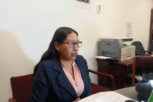 Ley para unificar elecciones subnacionales presentada por Olivia Guachalla
