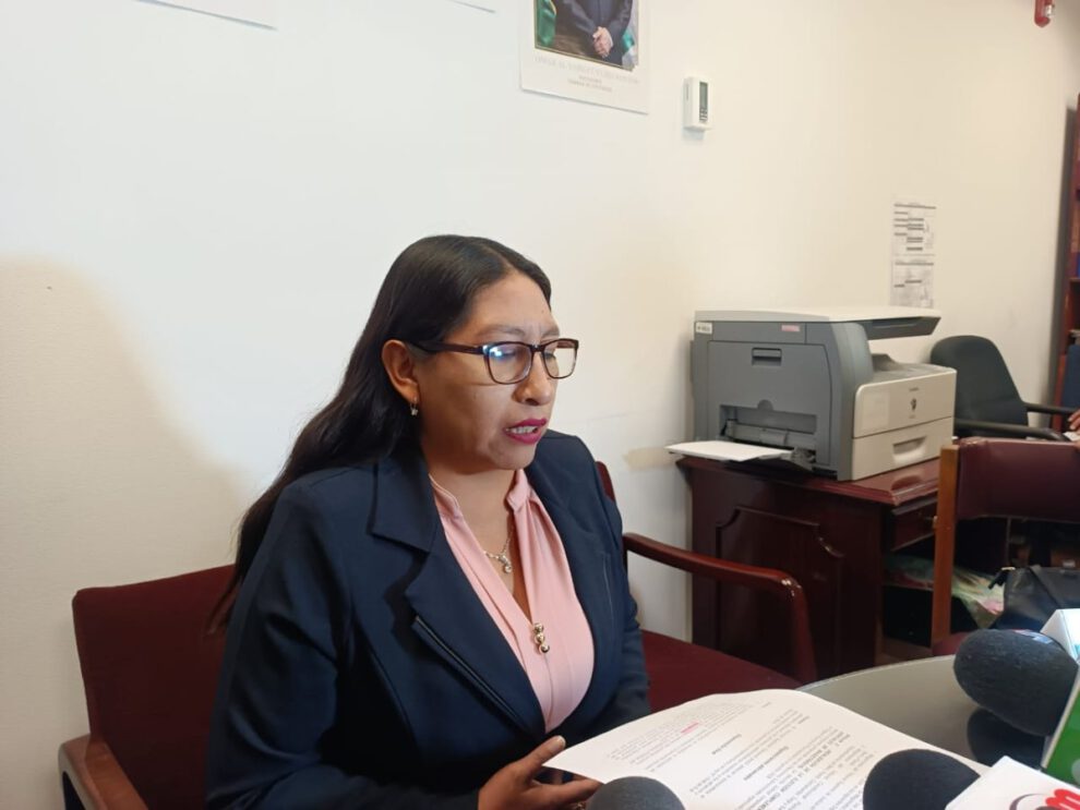 Ley para unificar elecciones subnacionales presentada por Olivia Guachalla